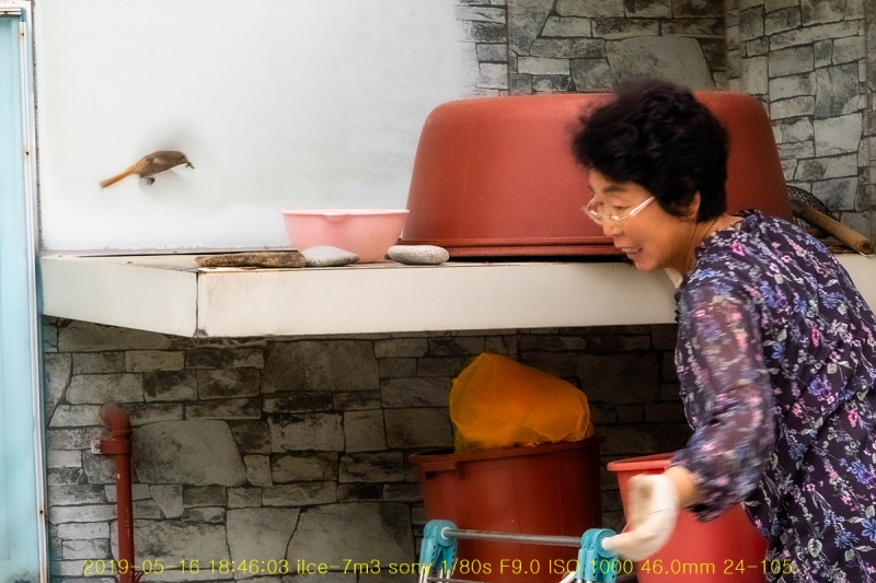 daak-20190517-18