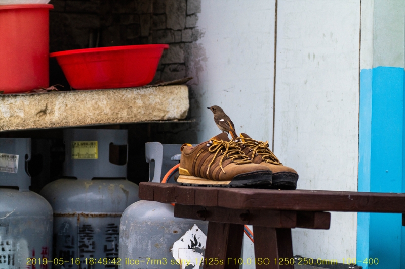 daak-20190517-24