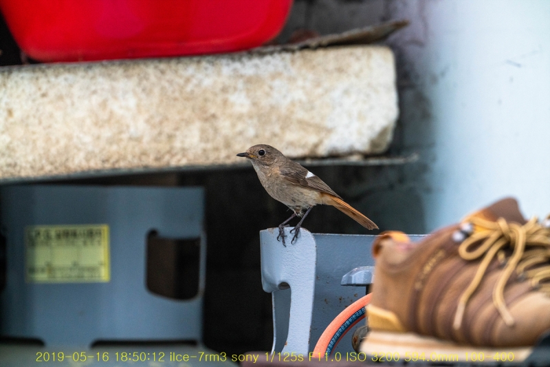 daak-20190517-25