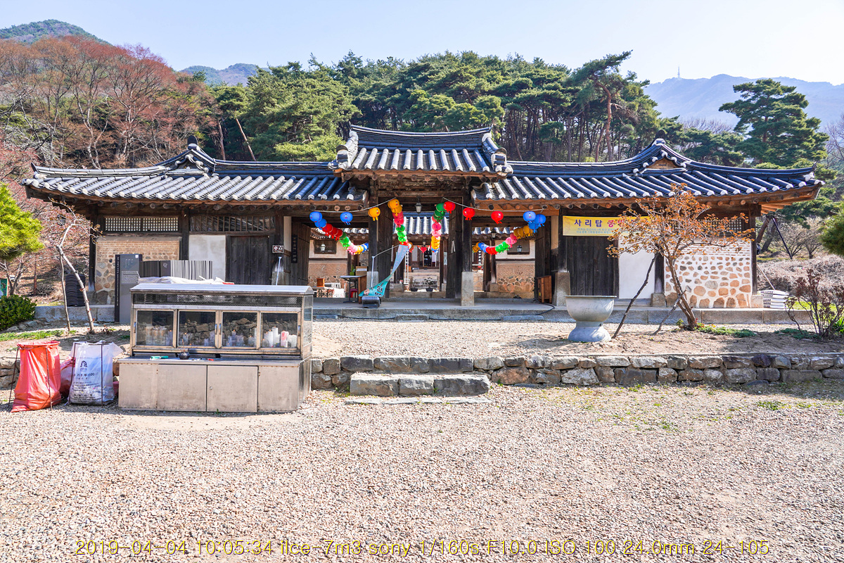 돌단풍 꽃이라고...
