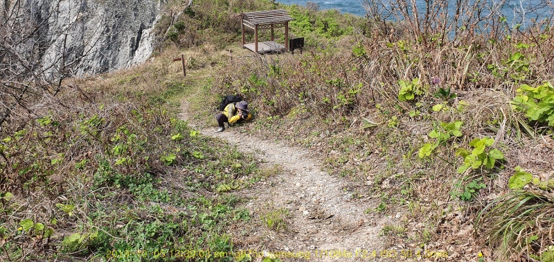 dong120191018-01
