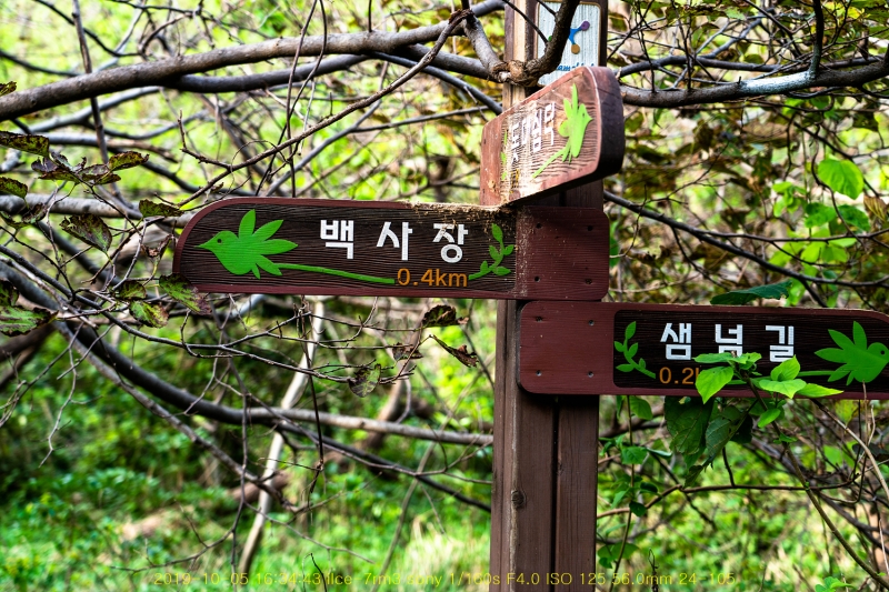 dong20191018-150