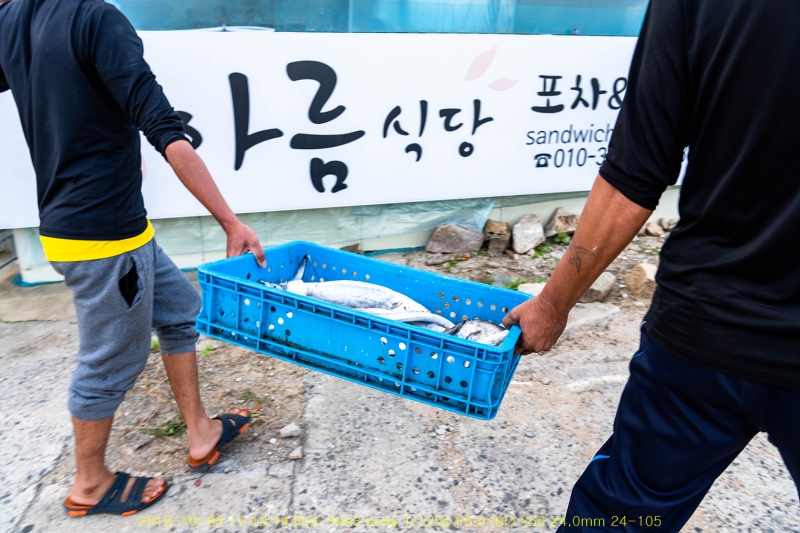 dong20191018-182