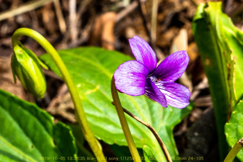 dong20191018-20
