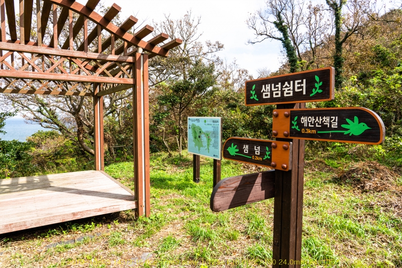 dong20191018-50