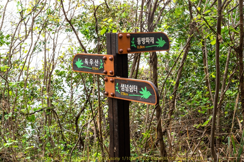 dong20191018-87