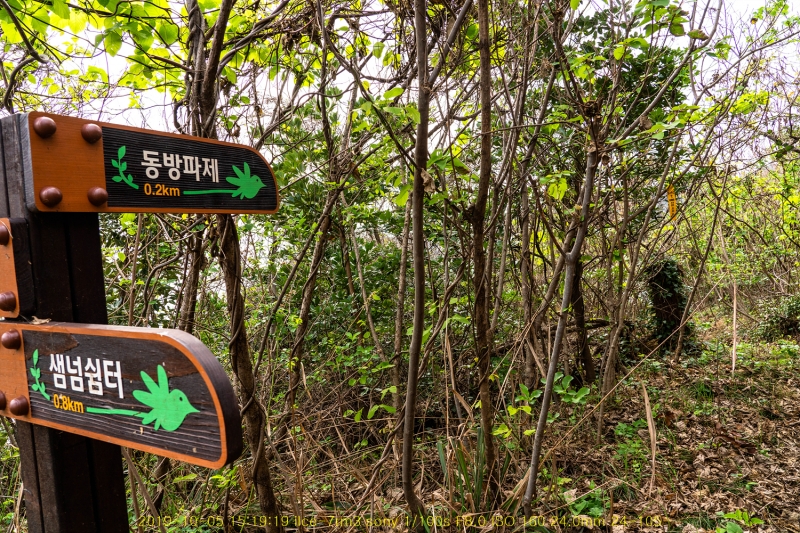 dong20191018-99