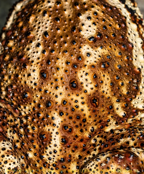 du-20190721-19
