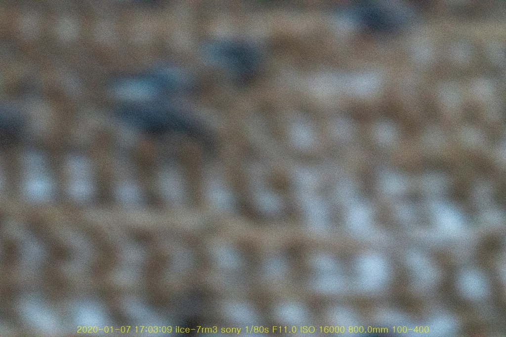 du20200112-69