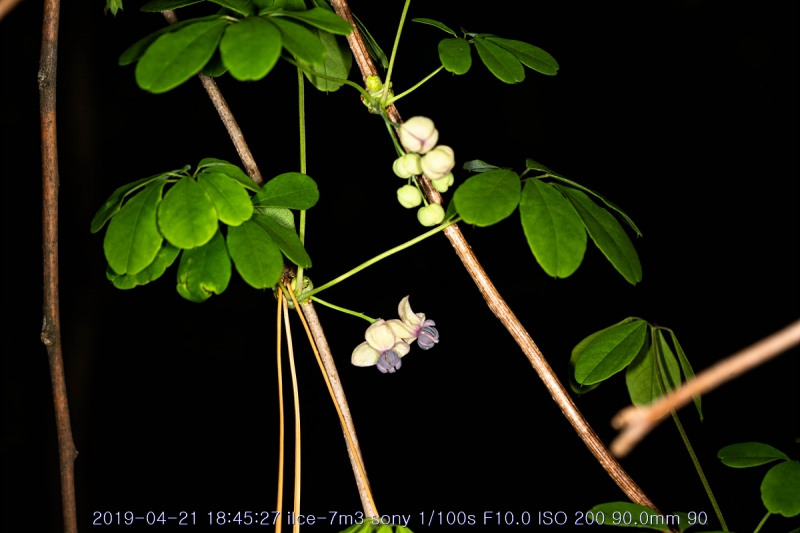 eu-20190421-01