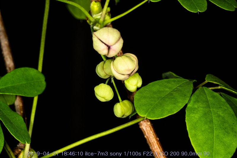 eu-20190421-03