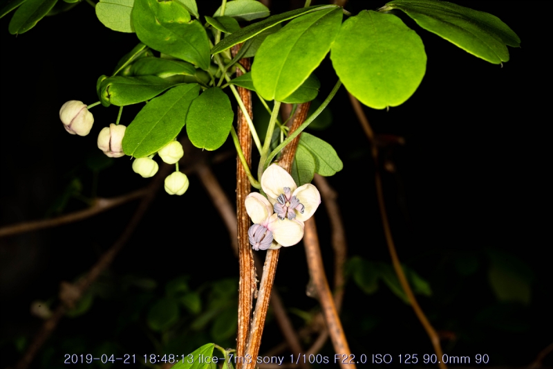 eu-20190421-06