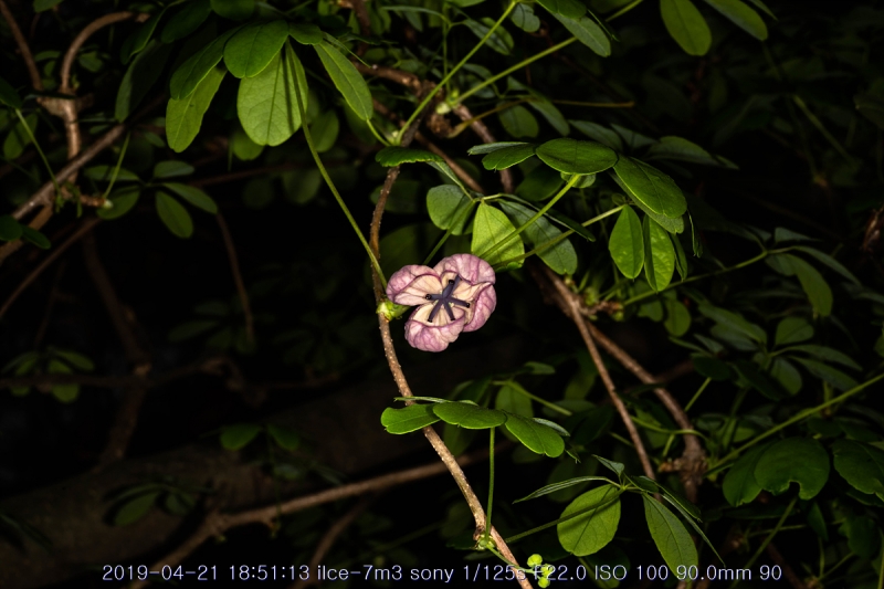 eu-20190421-15