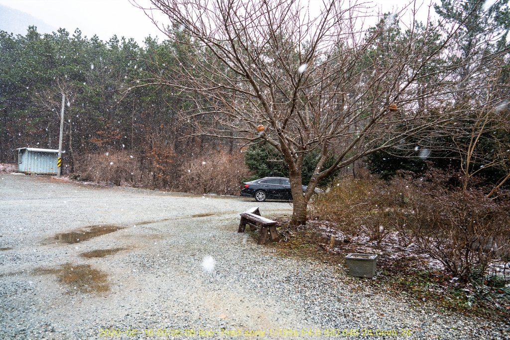 춘설만건곤(春雪滿乾坤)