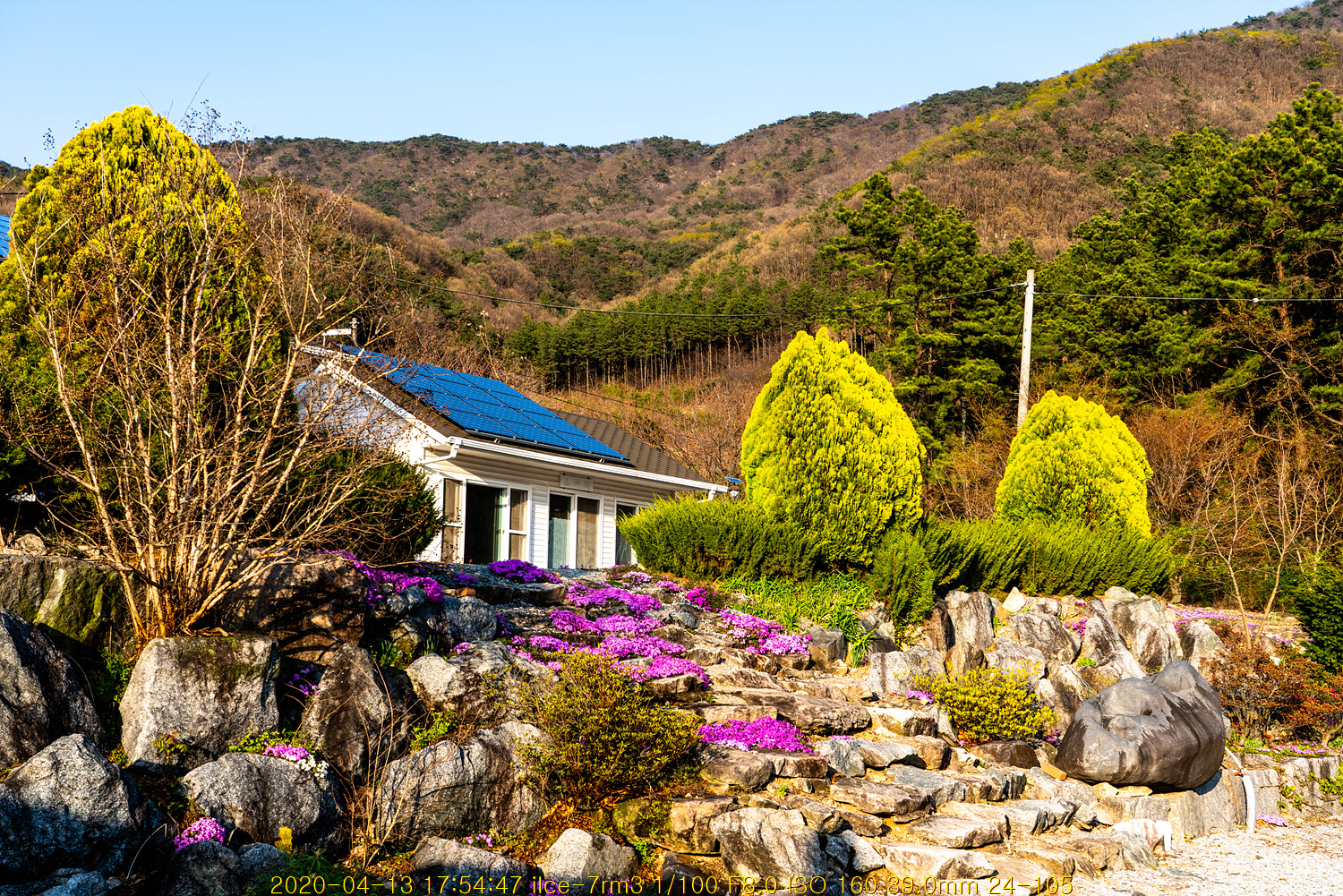 꽃길을 걷게했다