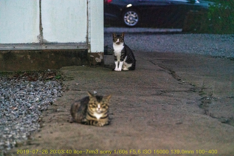 go-20190728-21