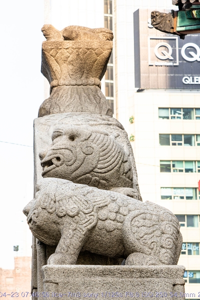 goang-20190424-08