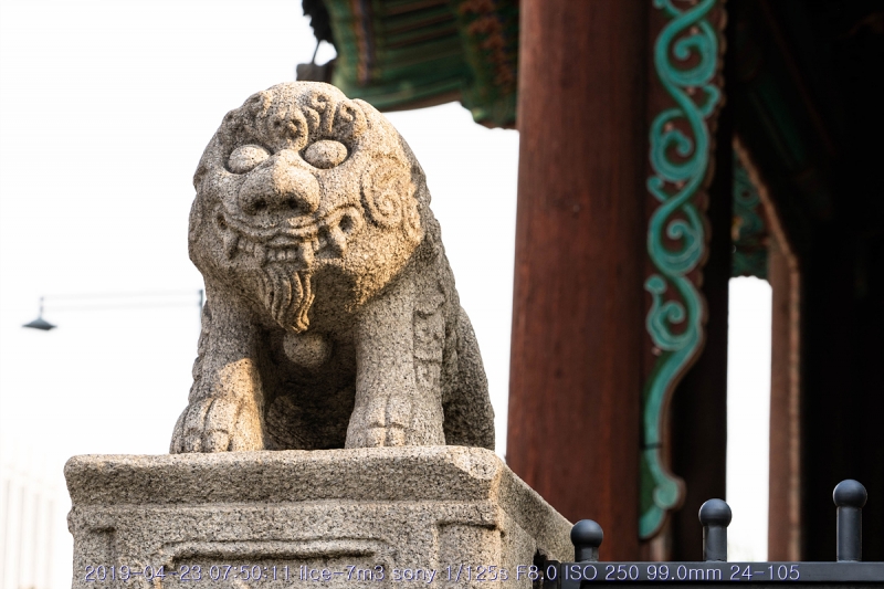goang-20190424-09