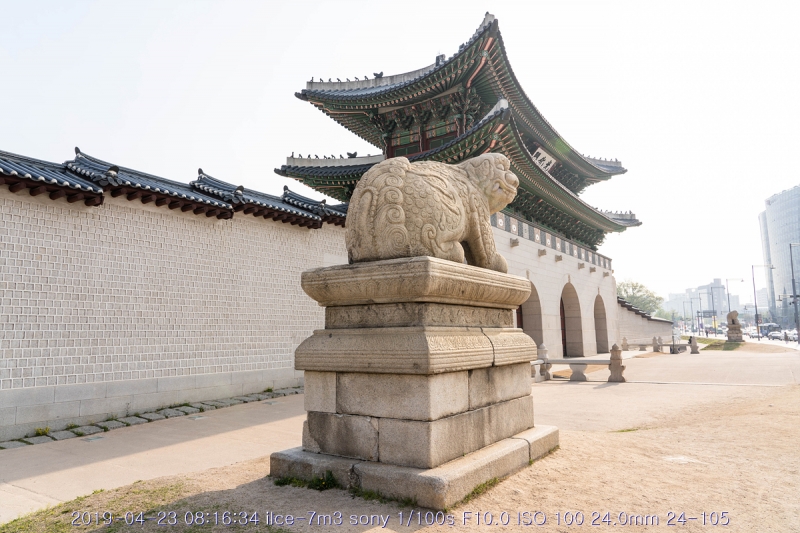 goang-20190424-45