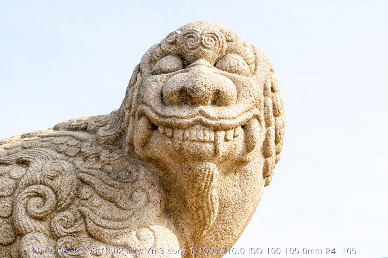 goang-20190424-47
