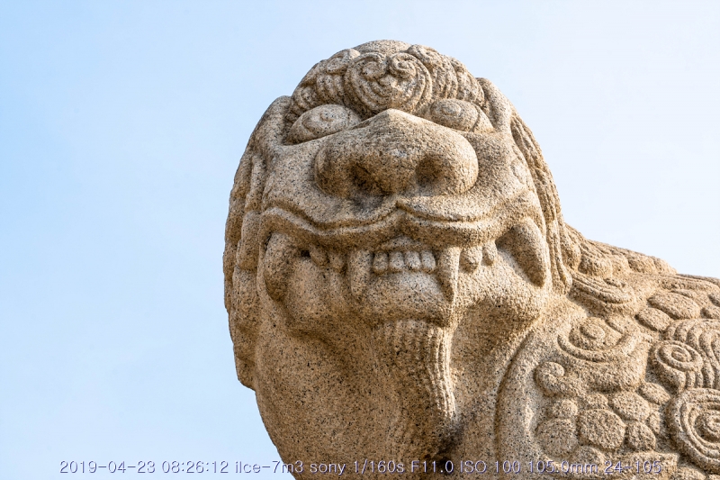 goang-20190424-54