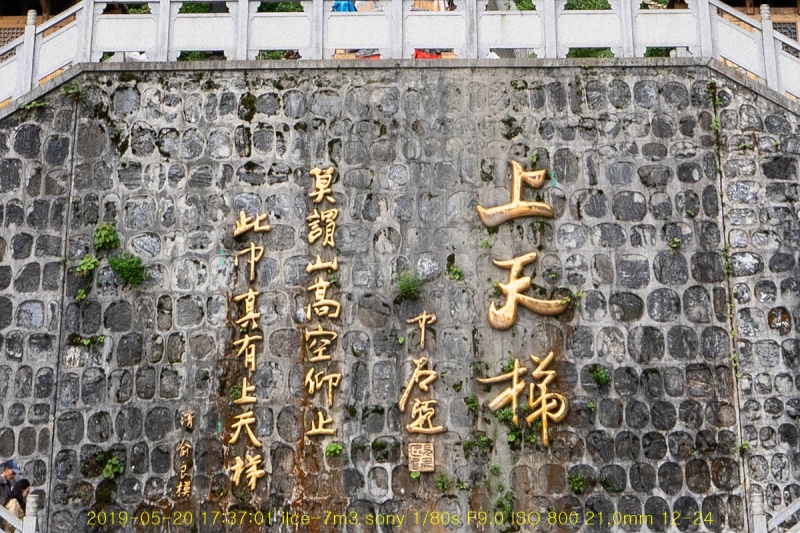 goang-20190530-01