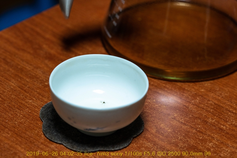 gon-20190630-02