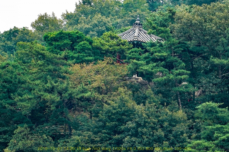 goong20191003-03