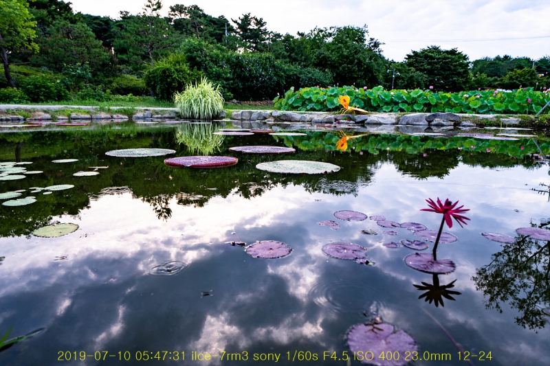 gung-20190725-11