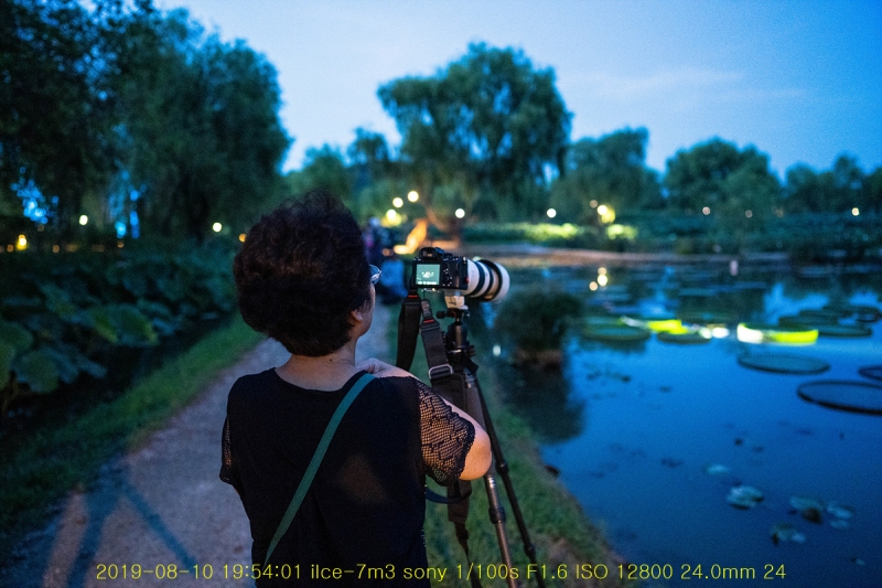 gung-20190811-10