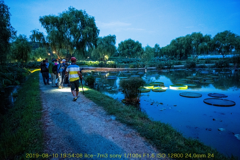 gung-20190811-11