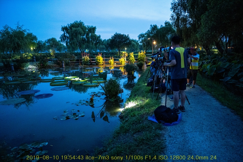 gung-20190811-12