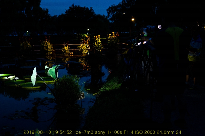 gung-20190811-13