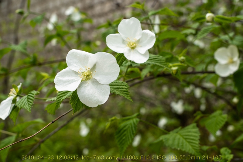 gyeong-20190503-04