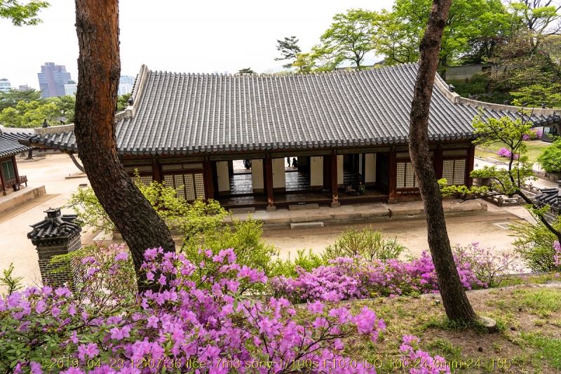 gyeong-20190503-06