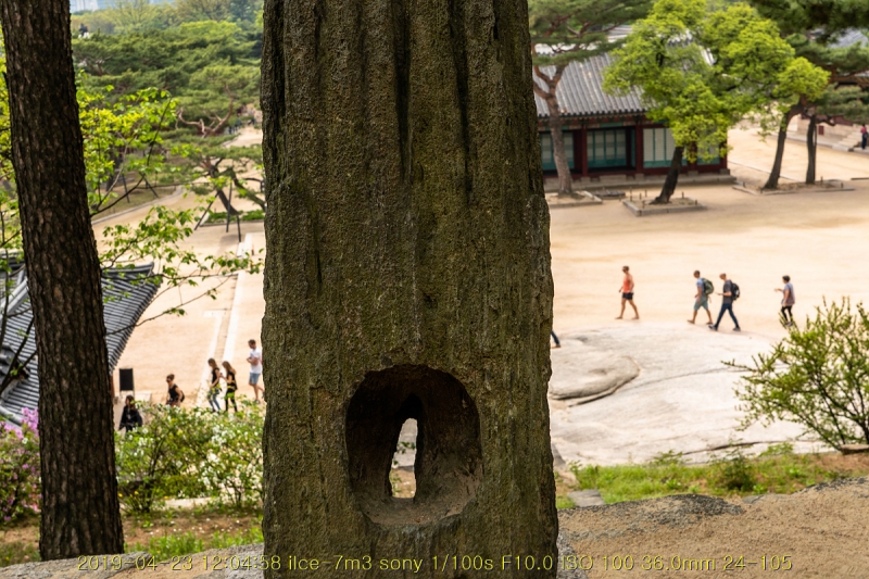 gyeong-20190503-13
