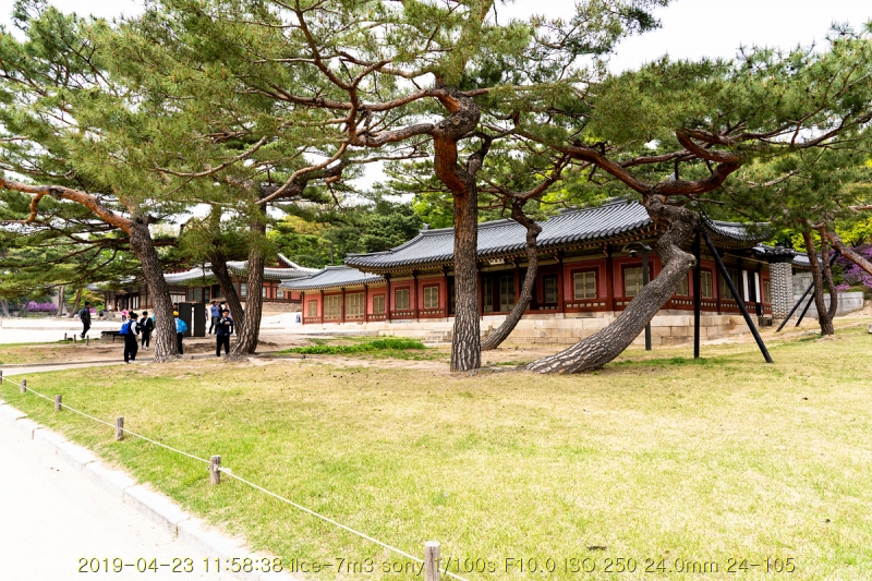 gyeong-20190503-33