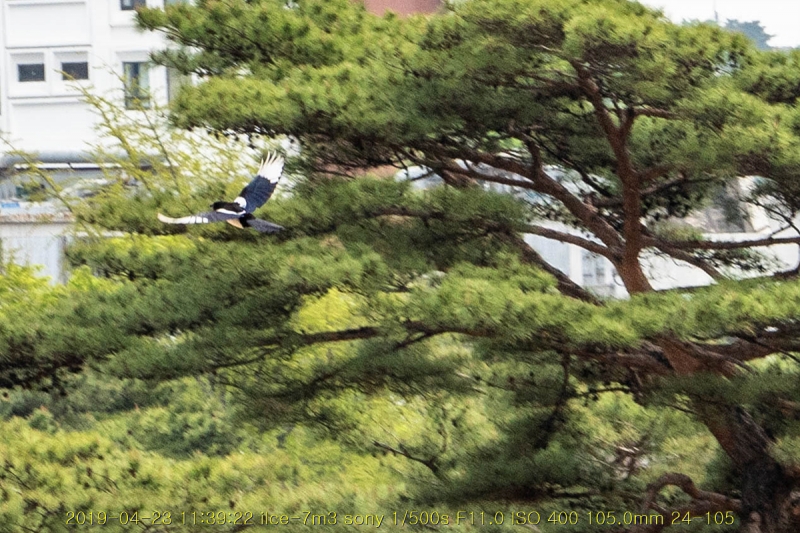 gyeong-20190503-65