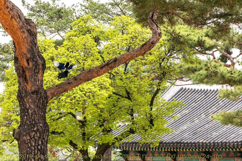 gyeong-20190503-66