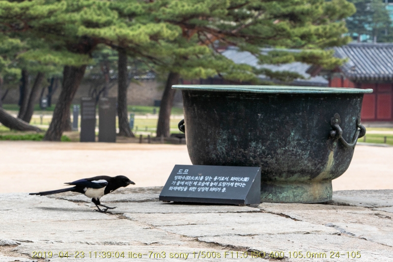 gyeong-20190503-68