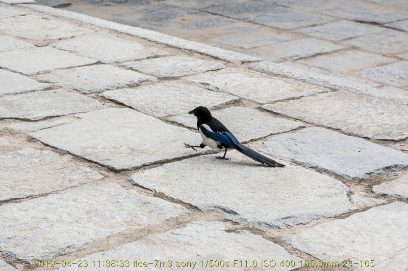 gyeong-20190503-69