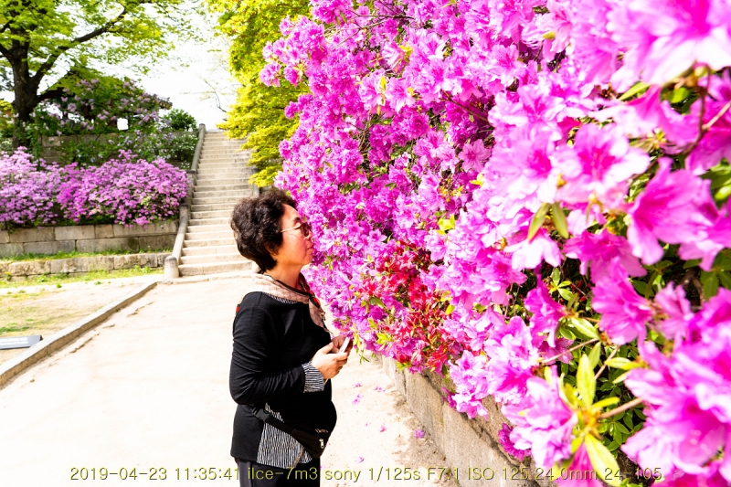 gyeong-20190503-77