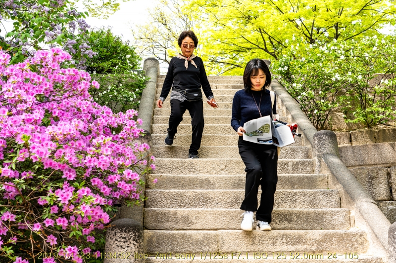gyeong-20190503-81