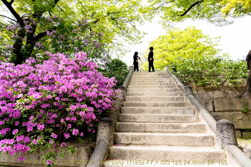 gyeong-20190503-83