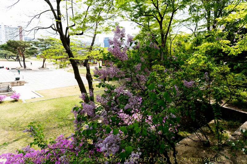 gyeong-20190503-84