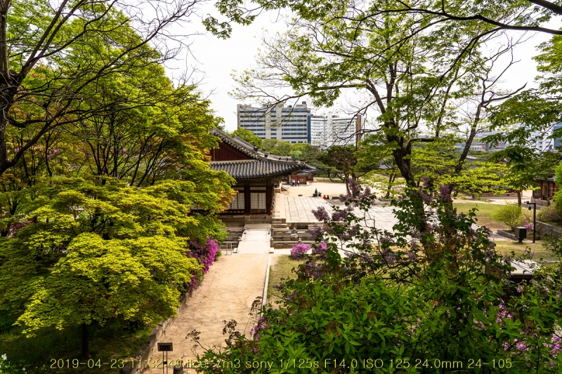 gyeong-20190503-85