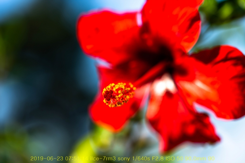ha-20190623-02
