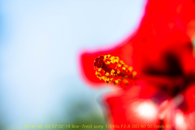 ha-20190623-03