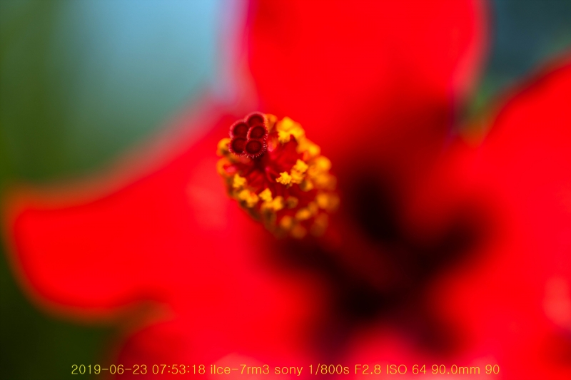 ha-20190623-05