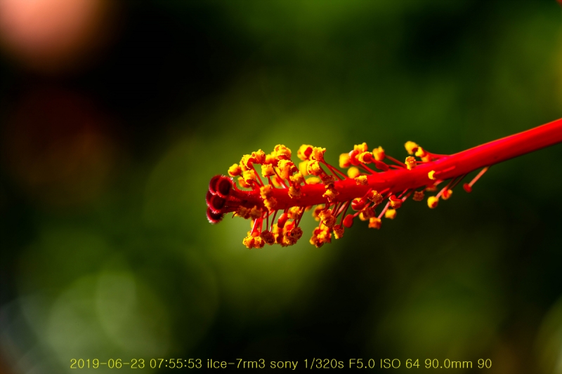 ha-20190623-06